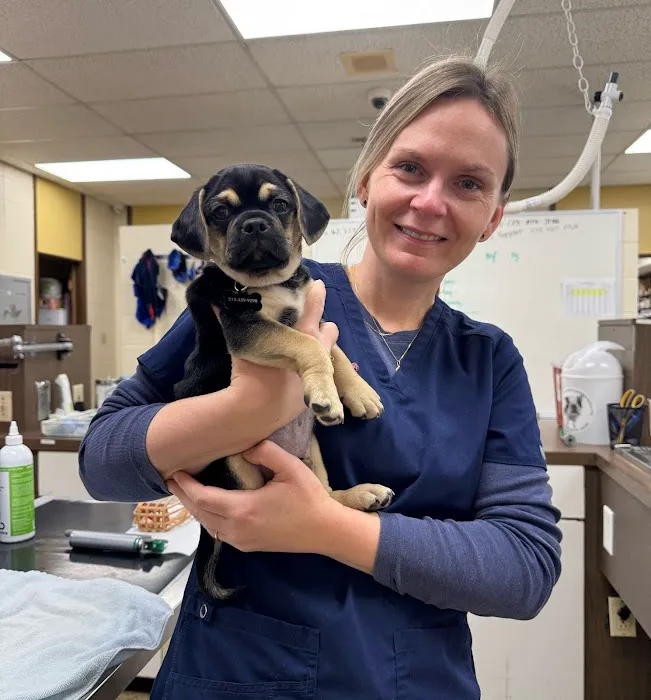 Touhy Animal Hospital & Grooming Picture 4
