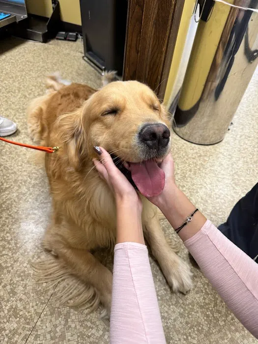 Touhy Animal Hospital & Grooming Picture 10