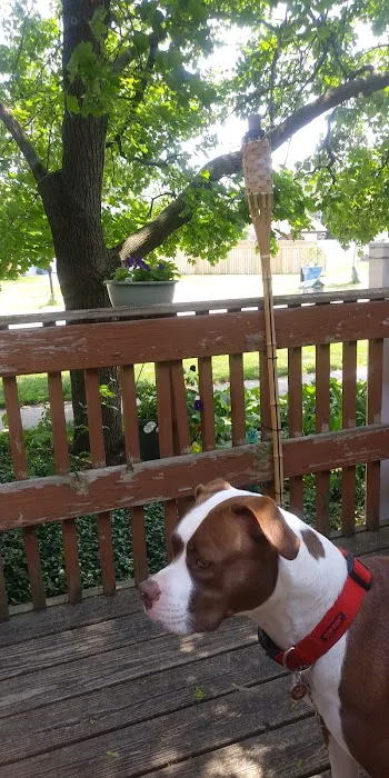 Northwest Animal Hospital Picture 4