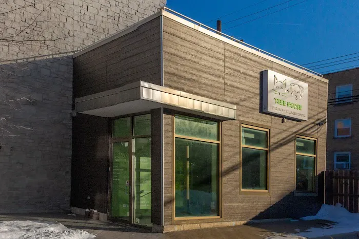 Tree House Veterinary Wellness Center Picture 5