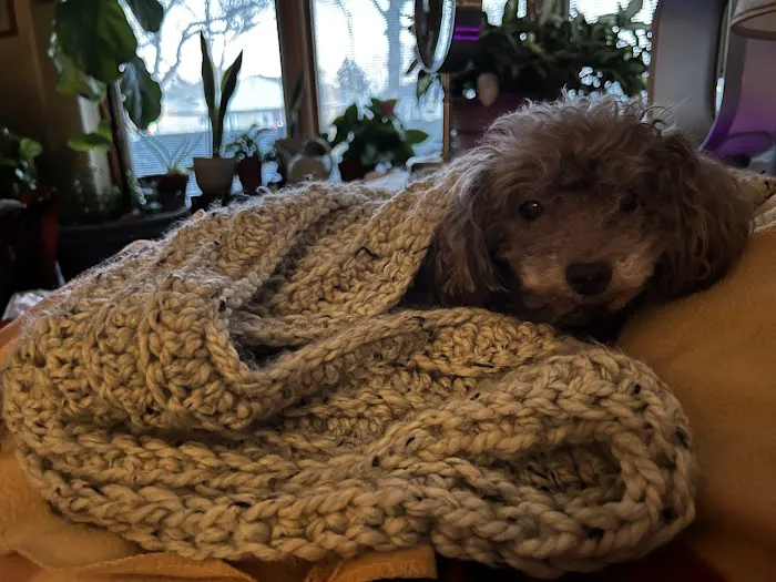 Howard Street Animal Hospital Picture 7