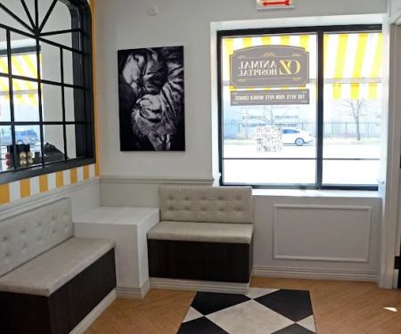 Oz Animal Hospital Sauganash