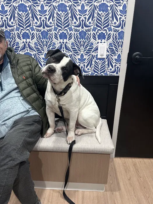 Oz Animal Hospital Sauganash Picture 7