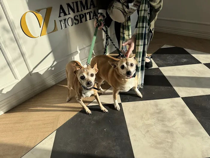 Oz Animal Hospital Sauganash Picture 6