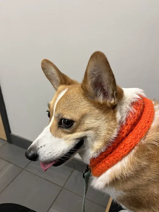 Evanston Animal Hospital Picture 4
