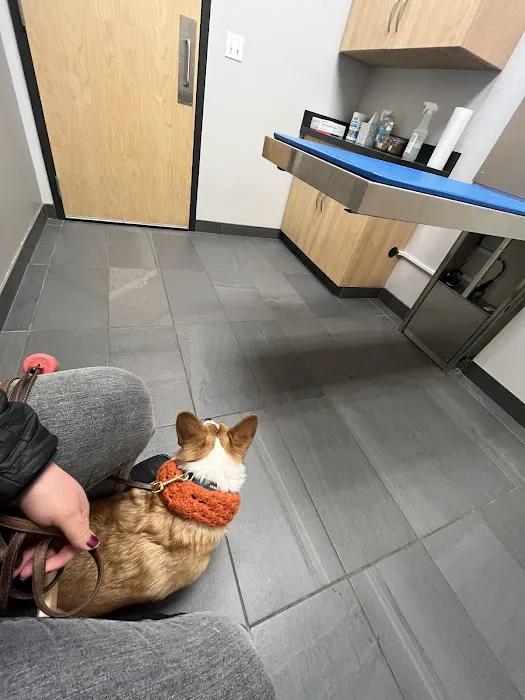 Evanston Animal Hospital Picture 1