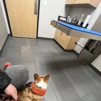 Evanston Animal Hospital ico