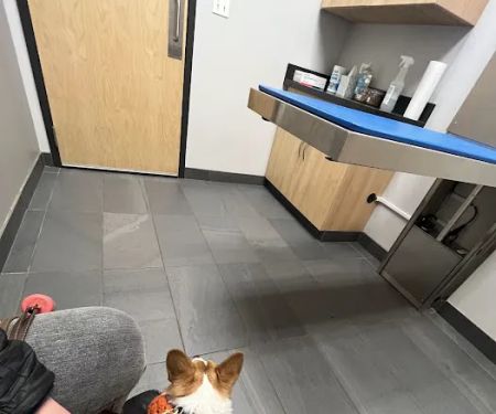 Evanston Animal Hospital