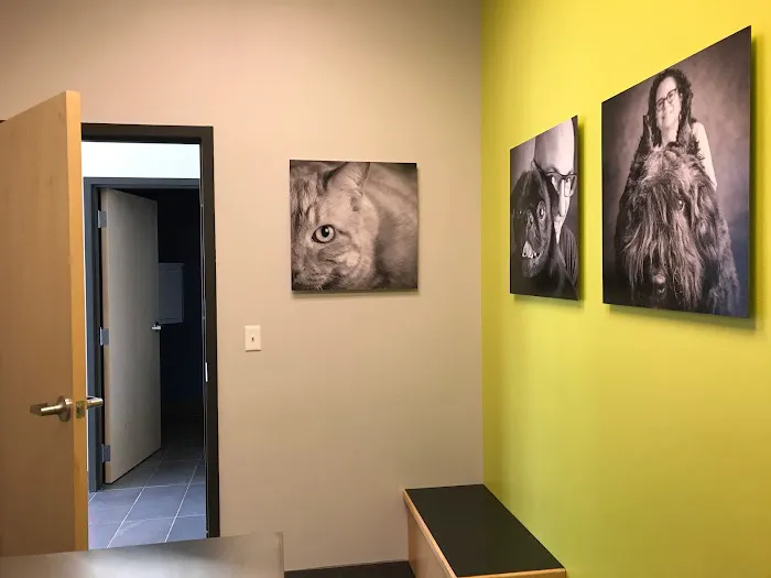 Evanston Animal Hospital Picture 6