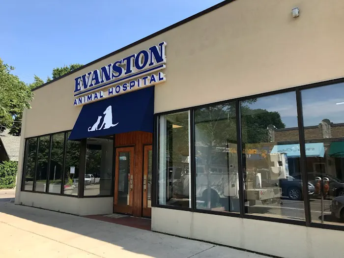 Evanston Animal Hospital Picture 8