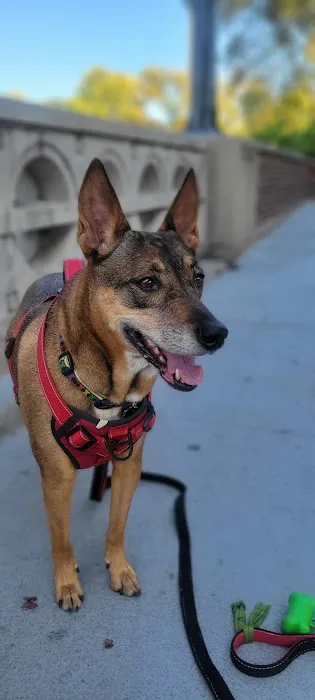 Banfield Pet Hospital Picture 3