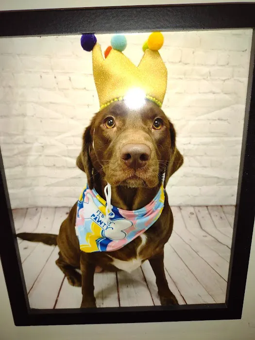 Banfield Pet Hospital Picture 9