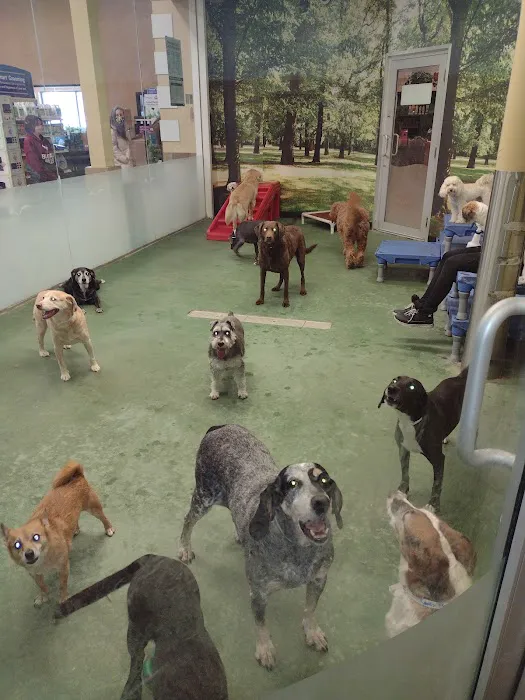 Banfield Pet Hospital Picture 6