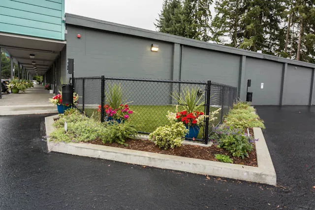 Bridge Animal Referral Center Picture 3