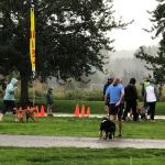 Bridge Animal Referral Center