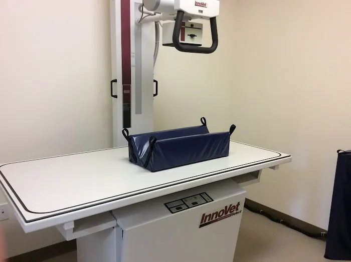 Fifth Avenue Animal Hospital Picture 4