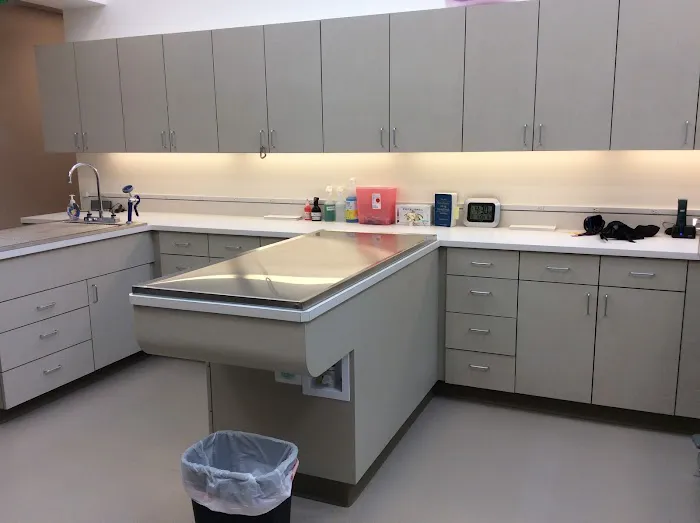 Fifth Avenue Animal Hospital Picture 7