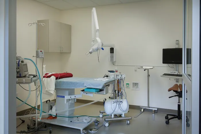 Fifth Avenue Animal Hospital Picture 10
