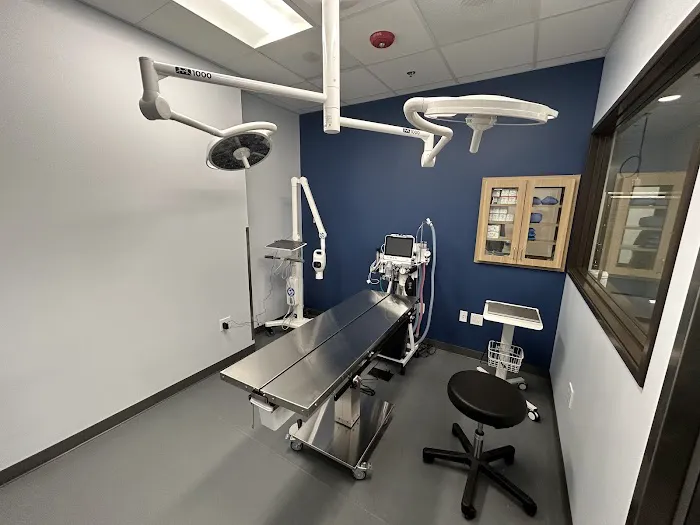 Seaview Animal Hospital Picture 5