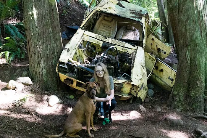 North Creek Pet Hospital Picture 10