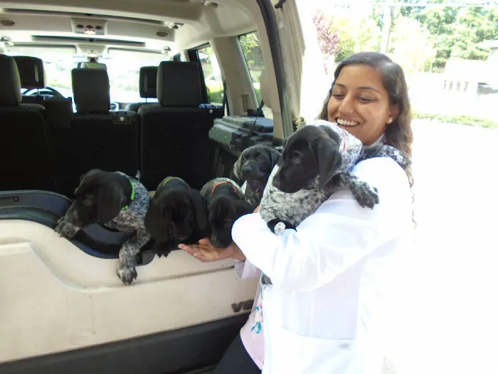 Lynnwood Animal Hospital Picture 5