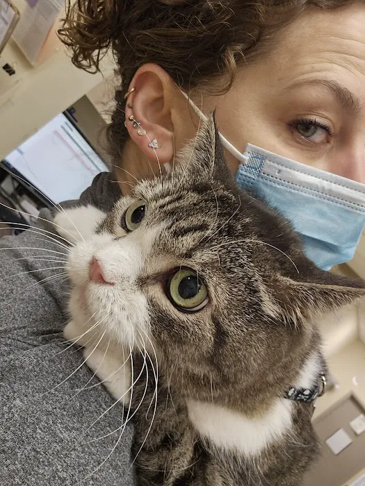 VCA Alderwood Companion Animal Hospital Picture 9