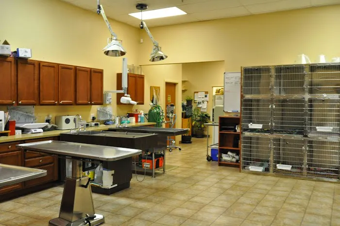 Helping Hands Veterinary Clinic Picture 7