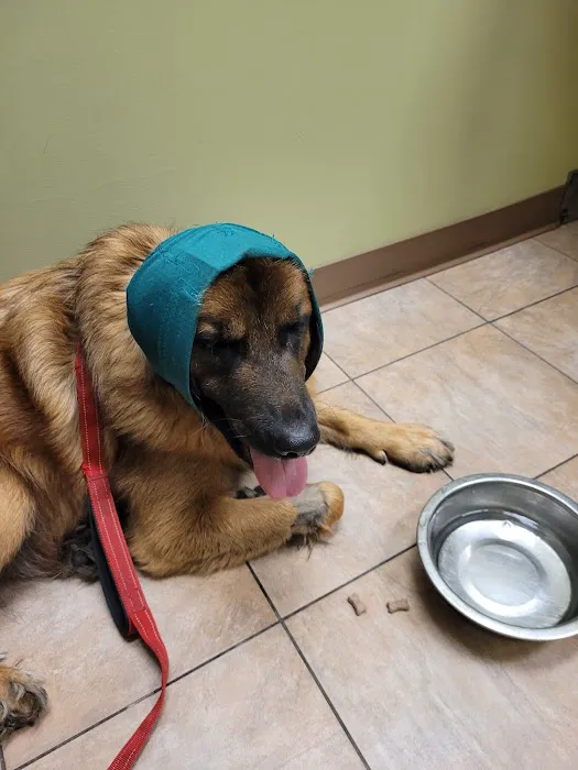 Helping Hands Veterinary Clinic Picture 2