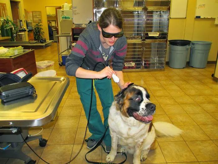 Helping Hands Veterinary Clinic Picture 6