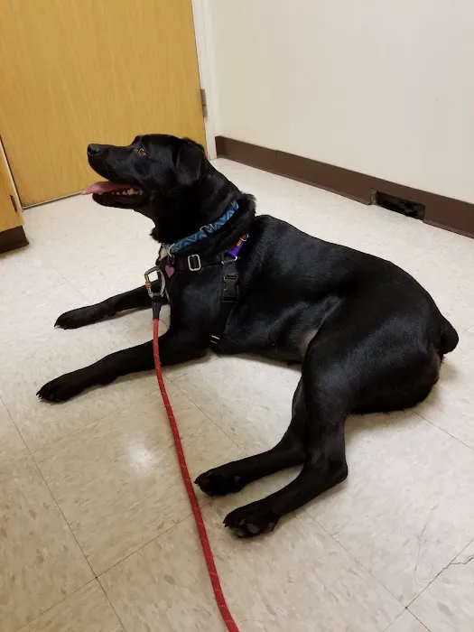 Perrinville Animal Hospital Picture 3