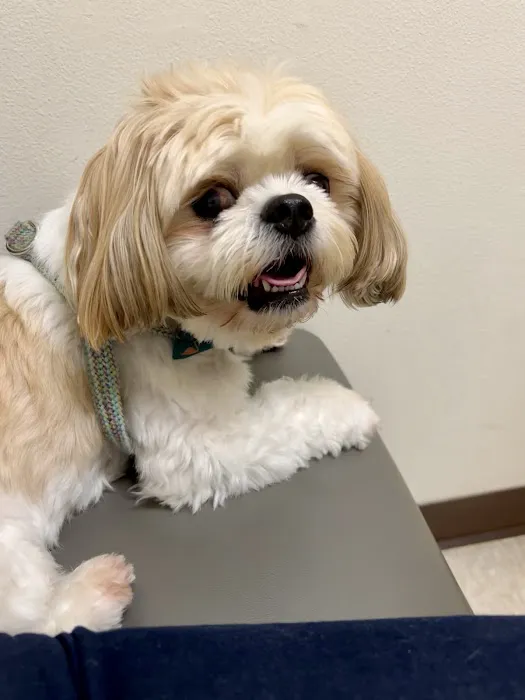 Perrinville Animal Hospital Picture 10