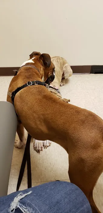 Perrinville Animal Hospital Picture 9
