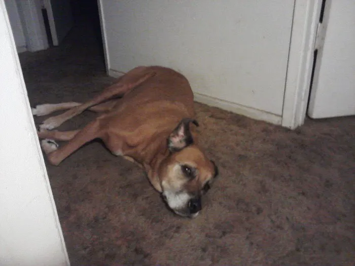 Alpine Animal Hospital Picture 9