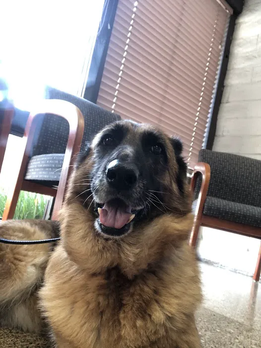 Habra Linda Animal Hospital Picture 4