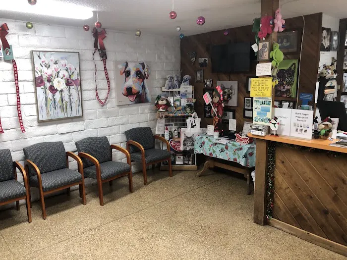 Habra Linda Animal Hospital Picture 5