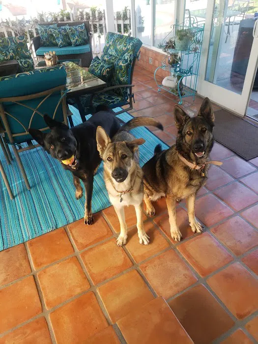 Habra Linda Animal Hospital Picture 8