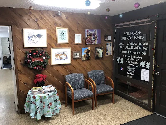 Habra Linda Animal Hospital Picture 10