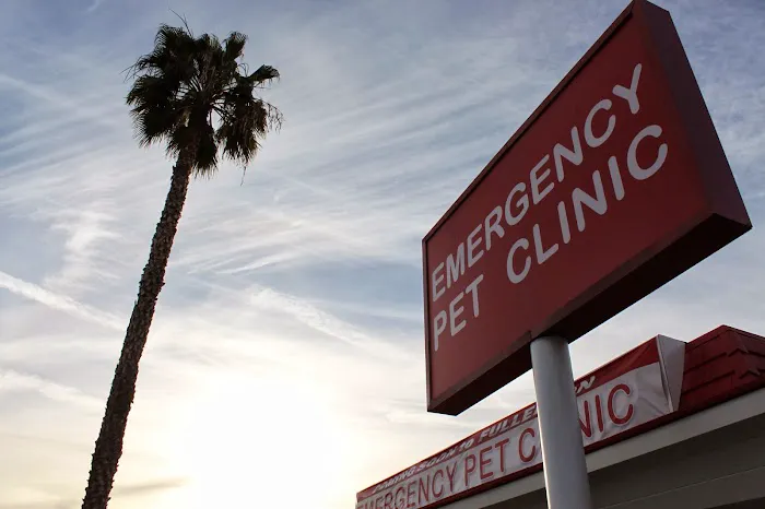 Orange County Emergency Pet Clinic Picture 1