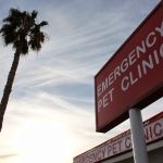 Orange County Emergency Pet Clinic
