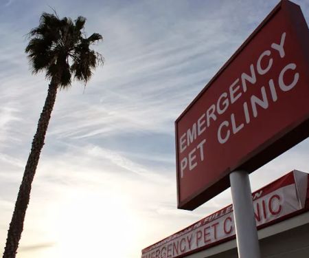 Orange County Emergency Pet Clinic