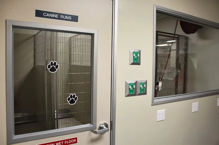 Orange County Emergency Pet Clinic Picture 5