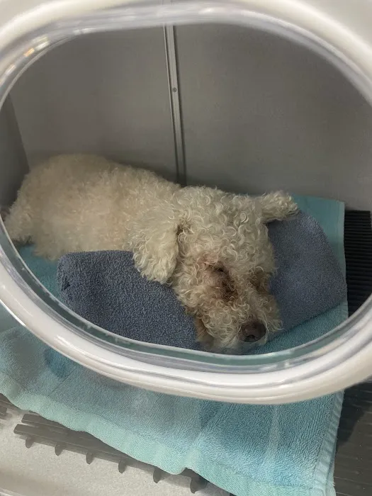Aloha Veterinary Hospital Picture 9