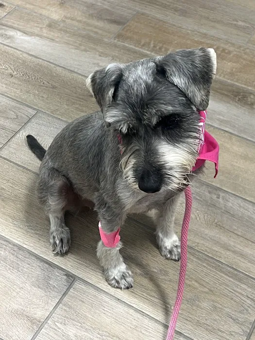Aloha Veterinary Hospital Picture 1