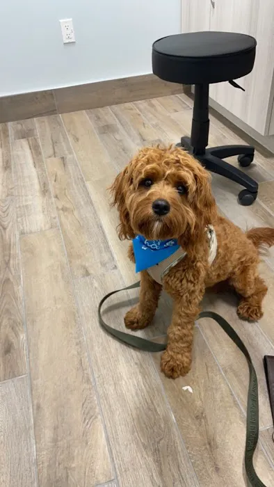 Aloha Veterinary Hospital Picture 5