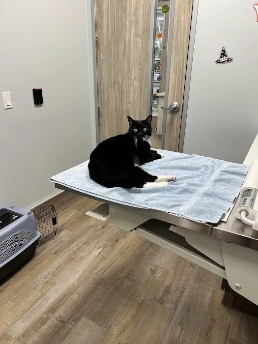 Aloha Veterinary Hospital Picture 7