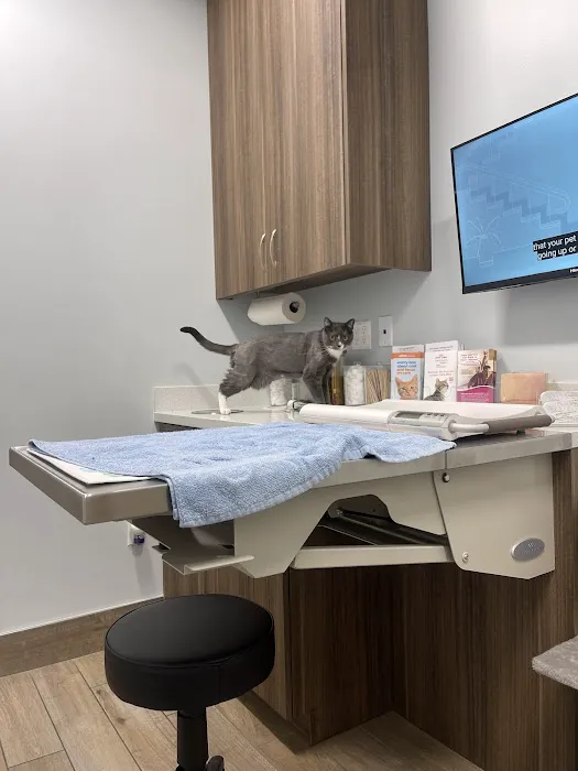Aloha Veterinary Hospital Picture 2