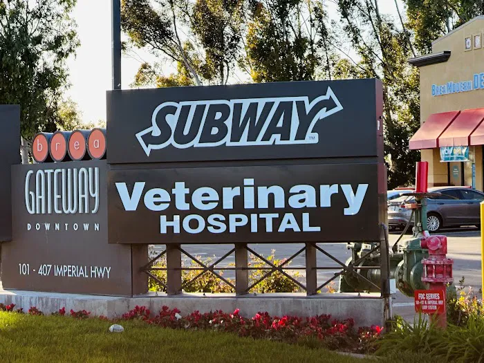 Aloha Veterinary Hospital Picture 3