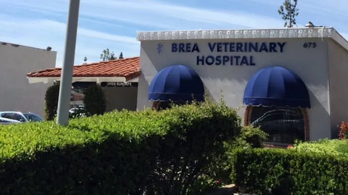Brea Veterinary Hospital Picture 7