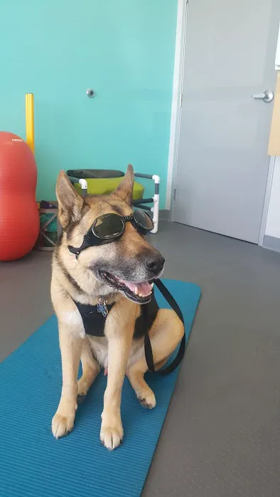 Healthy Paws Veterinary Care Picture 6