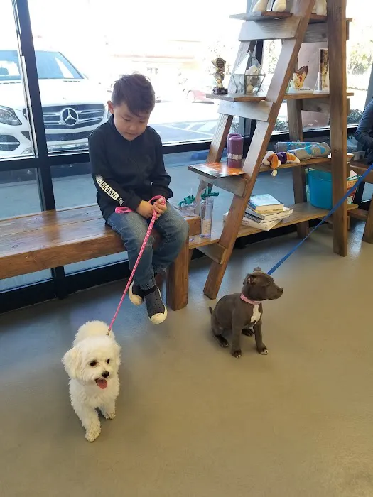 Healthy Paws Veterinary Care Picture 10